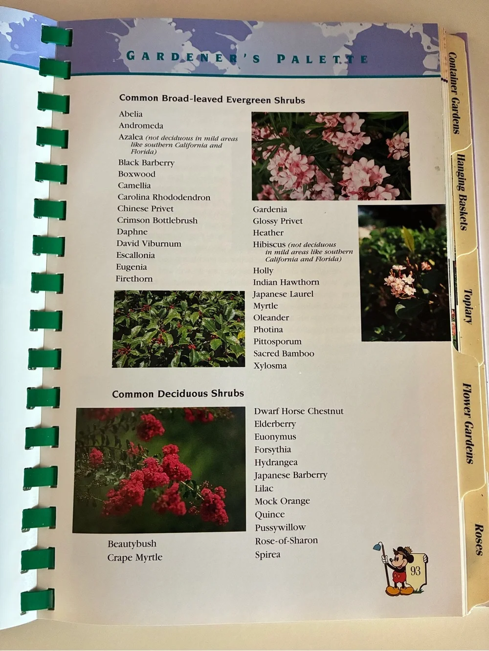 First Edition Disney Parks Vintage Disney Gardening with Mickey Book